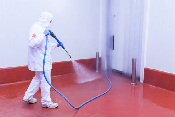Best Driveway Pressure Washing  in Henryville, IN