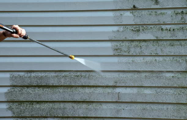 Best Solar Panel Cleaning  in Henryville, IN
